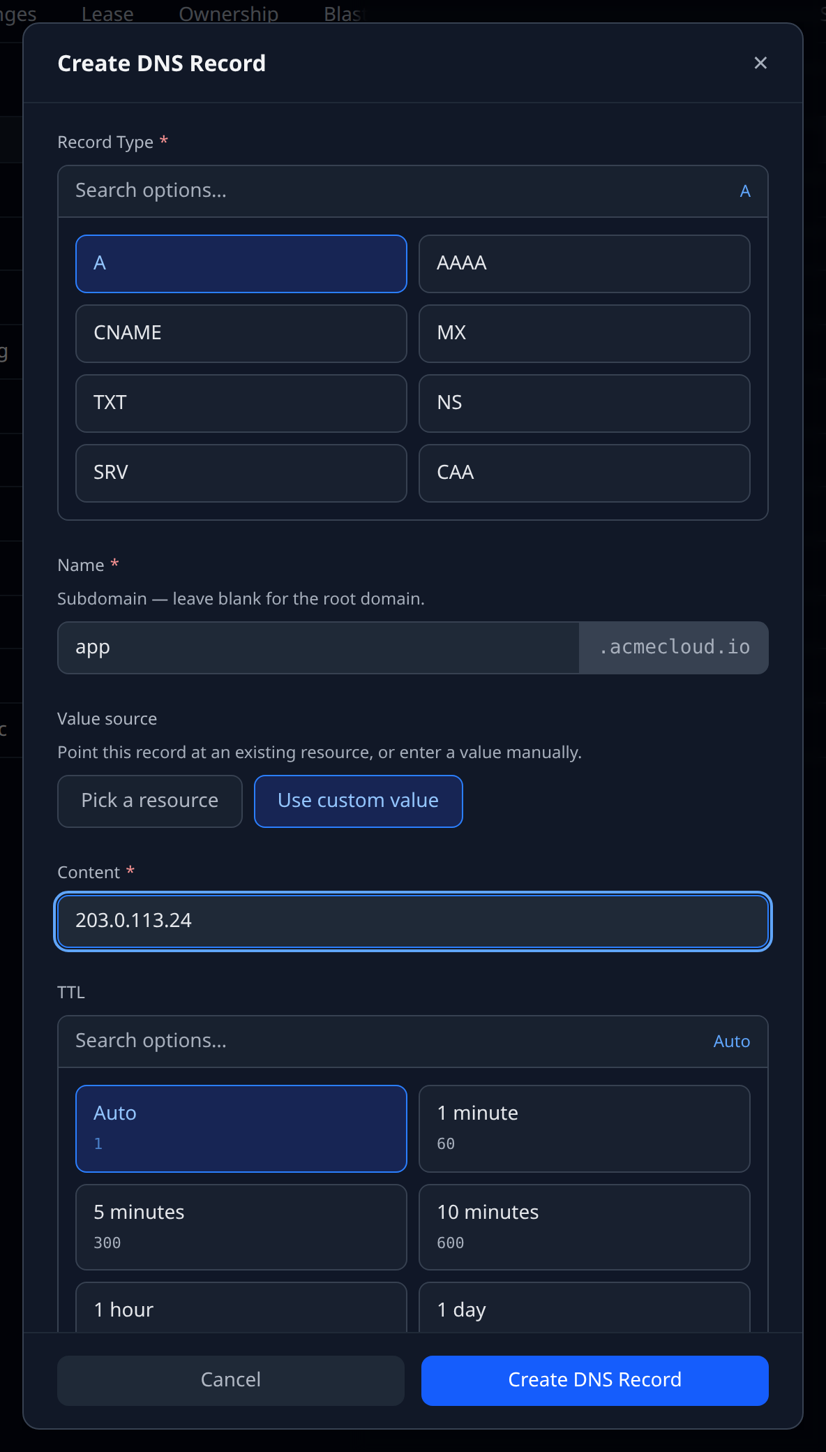DNS record create form with the "Use custom value" toggle enabled, showing the plain text fallback