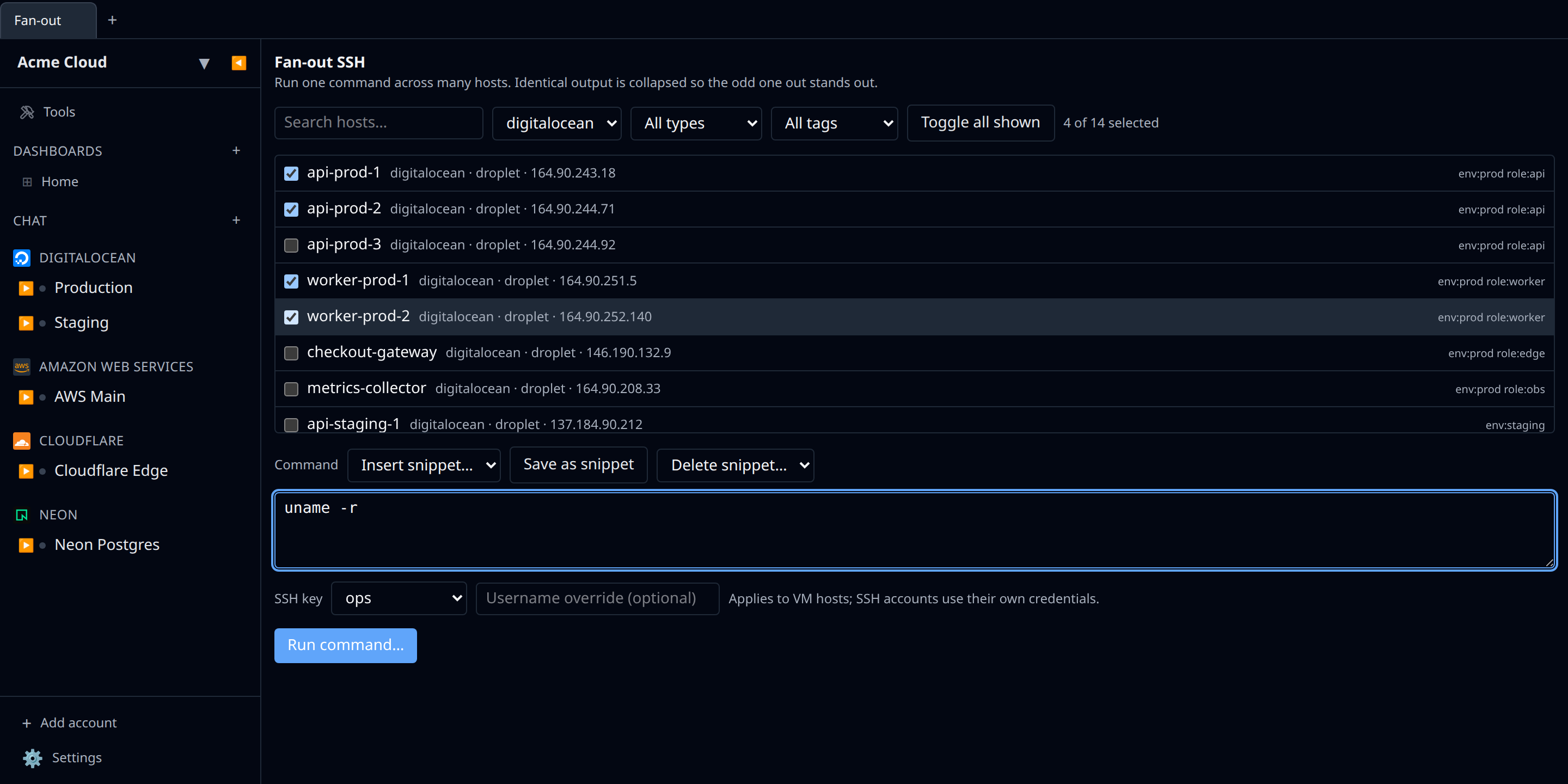 The Fan-out screen with a host list filtered to one provider, several hosts checked, and a command typed in the box