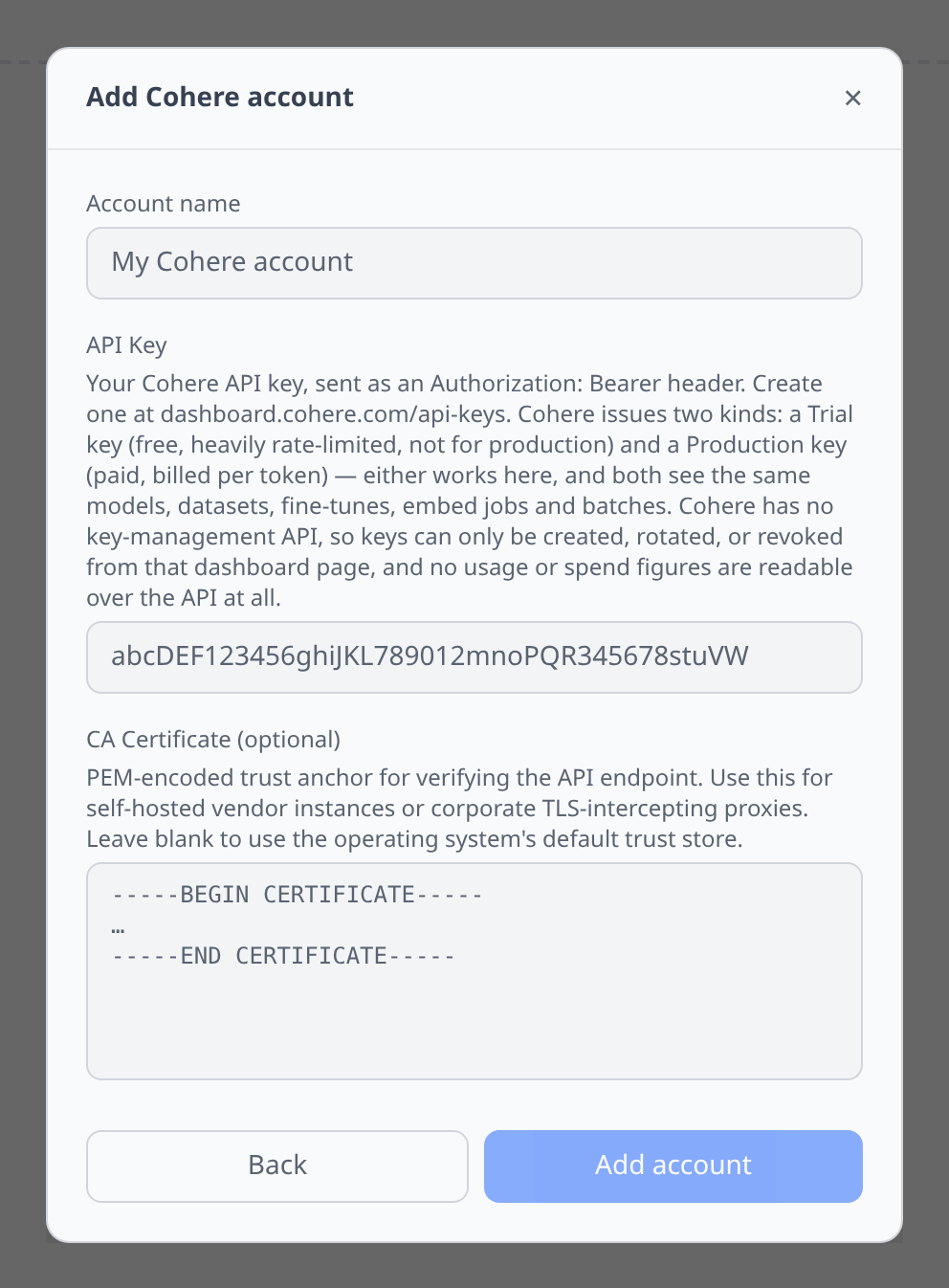 Cohere Add-account form with the single API key field